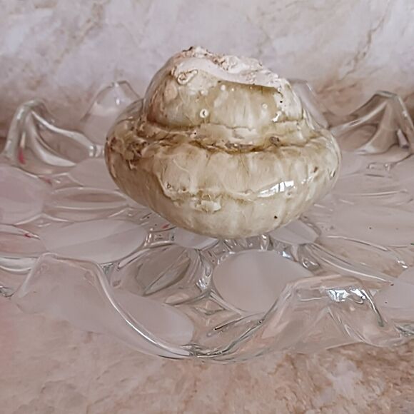 Realistic Ceramic GOURD ugly Pumpkin Art Glaze Kitsch Decor Thanksgiving Kitchen - Picture 8 of 14